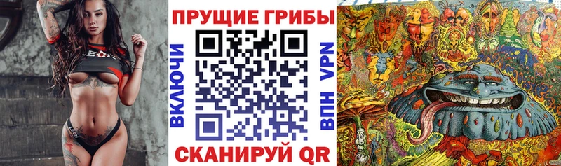 Псилоцибиновые грибы прущие грибы  Ярцево 